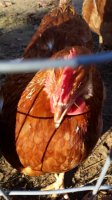 20161112_092954.jpg