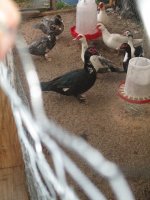 IMG_1656.JPG
