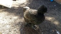 20170702_102605.jpg