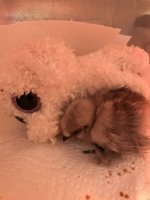 IMG_4416.JPG IMG_4416.JPG
