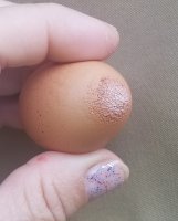 20170703_085851.jpg