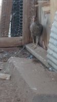 20170629_185139.jpg