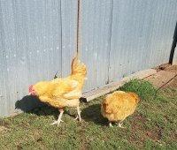 20170701_170638.jpg