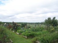 farm april 2016 043.JPG