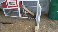20170626_064402.jpg