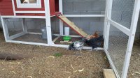 20170626_064405.jpg