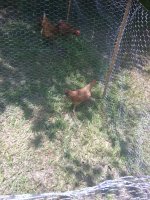 IMG_20170704_134441.jpg