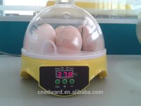 Holding-7-eggs-incubator-musical-cute-mini.jpg