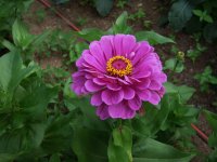 DSCN3969.JPG