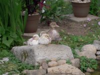 DSCN3964.JPG