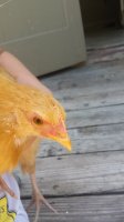 20170706_114904.jpg