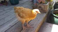 20170706_114922.jpg
