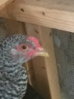 20170706_195834.jpg
