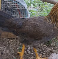 20170628_105700.jpg