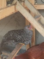 20170706_195856.jpg