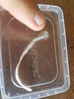 20170707_144725.jpg