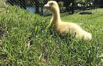 IMG_4008.JPG