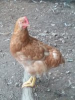 20170707_200157.jpg
