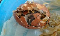 Resized_20170707_173133.jpg
