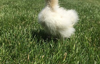 IMG_2509.JPG