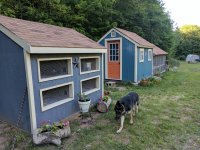 IMG_20170703_190940.jpg