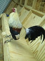 VZM.IMG_20170222_142751.jpg