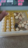 20170709_115228.jpg