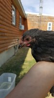 20170710_094603.jpg