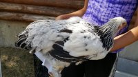 20170710_101432.jpg