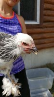 20170710_101336.jpg