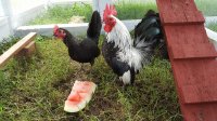 20170707_124103.jpg