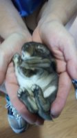 20170711_073854.jpg