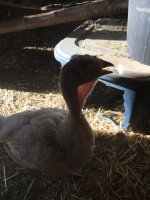 IMG_3392.JPG