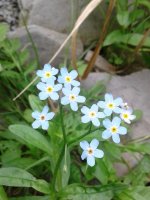 20170629_130709.jpg