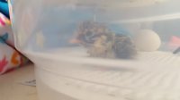 20170712_102411.jpg