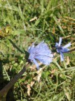 20170709_101613.jpg