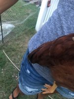 IMG_1785.JPG