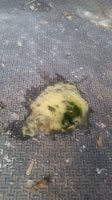 20170712_065104.jpg