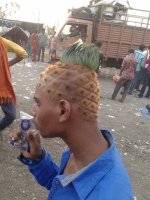 pinehair.jpg