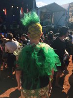 big-pineapple-haircut.JPG