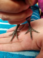 20170713_175034.jpg