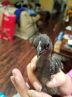 20170713_151332.jpg