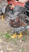 20170713_165932.jpg