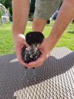 IMG-20170714-WA0003.jpg