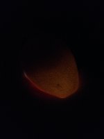 image.jpeg