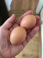 unnamed-5.jpg