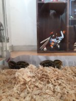 WeChat Image_20170715170250.jpg