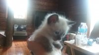 20170706_152004.jpg