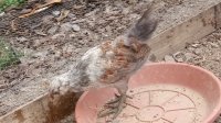DSC_1147.JPG