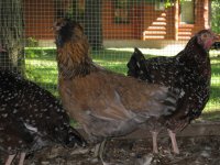 IMG_1504.JPG